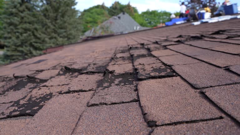 Best Asphalt Shingle Roofing  in Vincent, AL