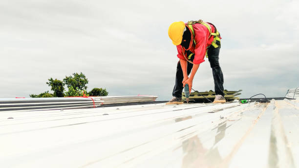 Best Roof Inspection  in Vincent, AL
